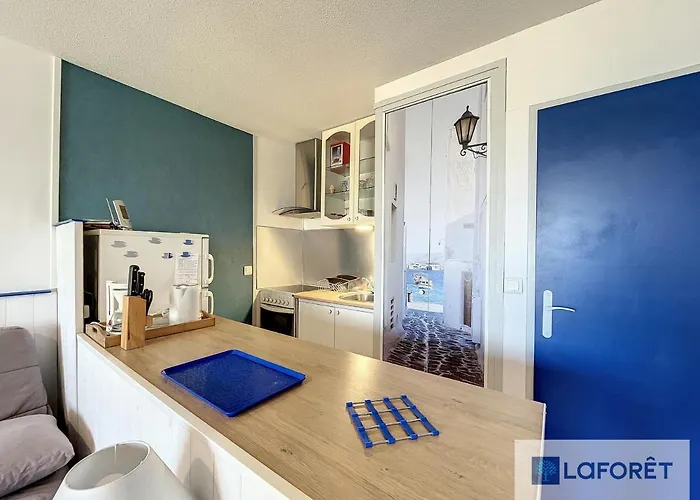 Face Au Port De Plaisance Avec Parking - Fr-1-746-7